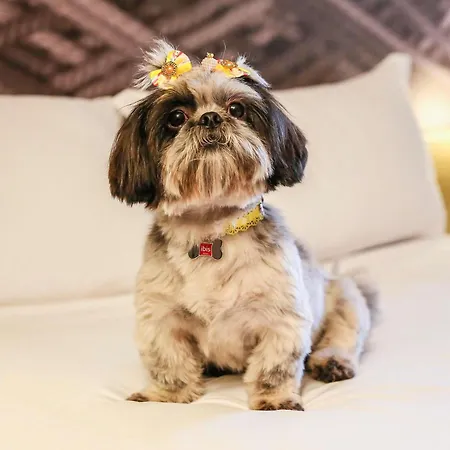 Ibis Szálloda Irún